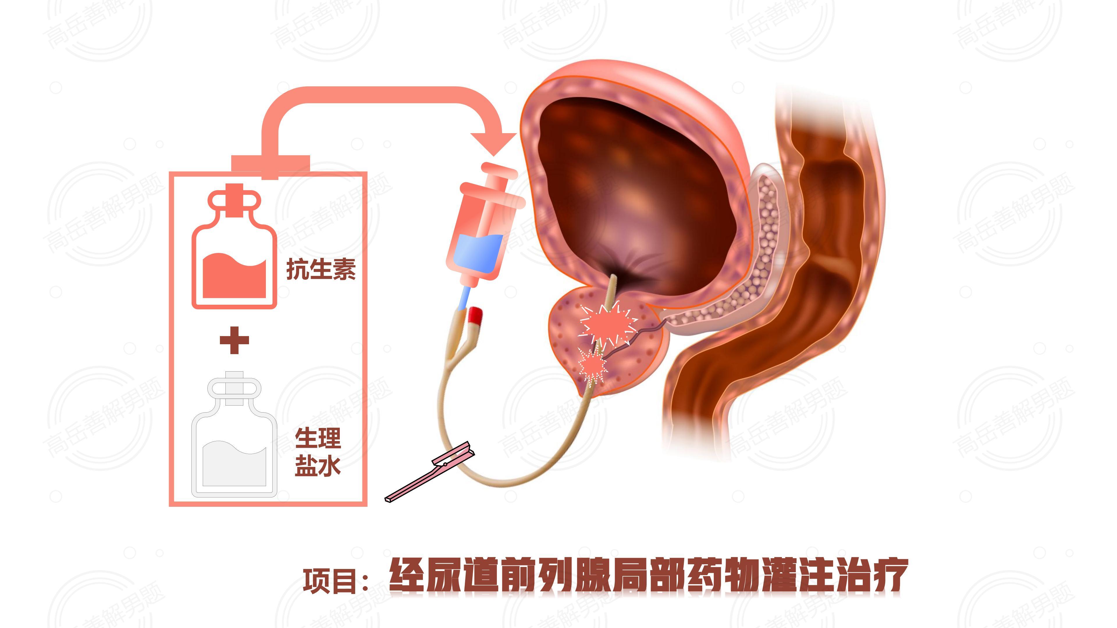 落户咨询 第411页