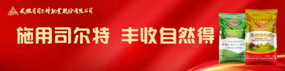 司尔特最新收购消息