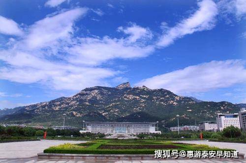 泰安最新动态