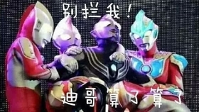 文化现象深度审视与探讨