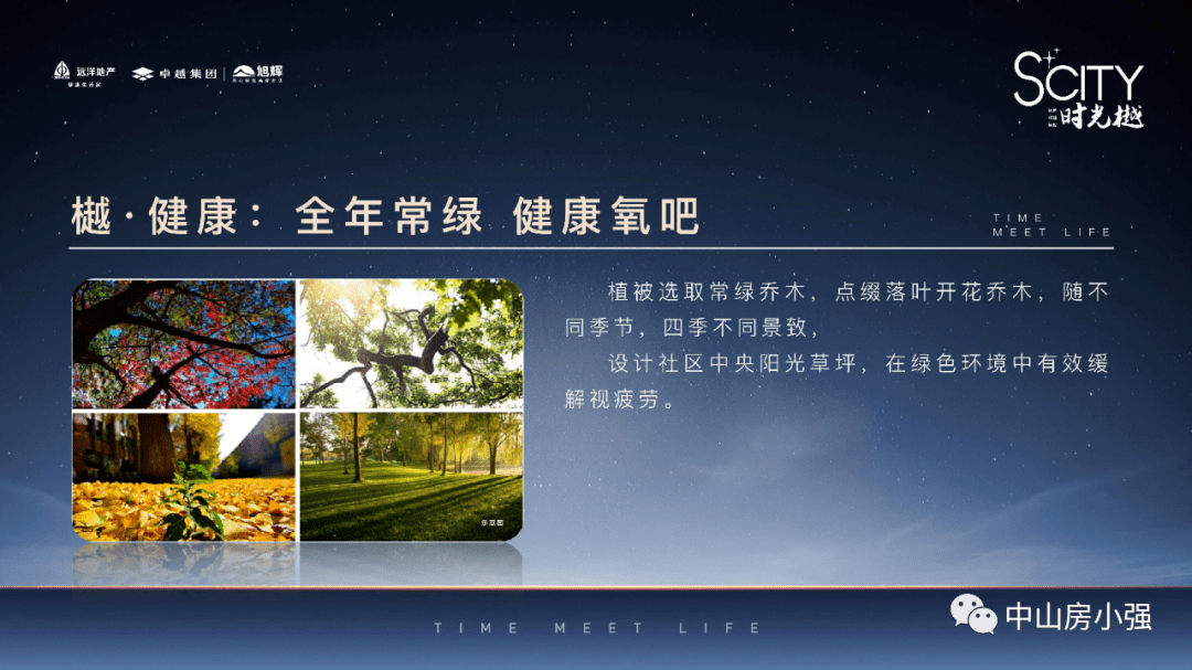 碰瓷现象深度揭示