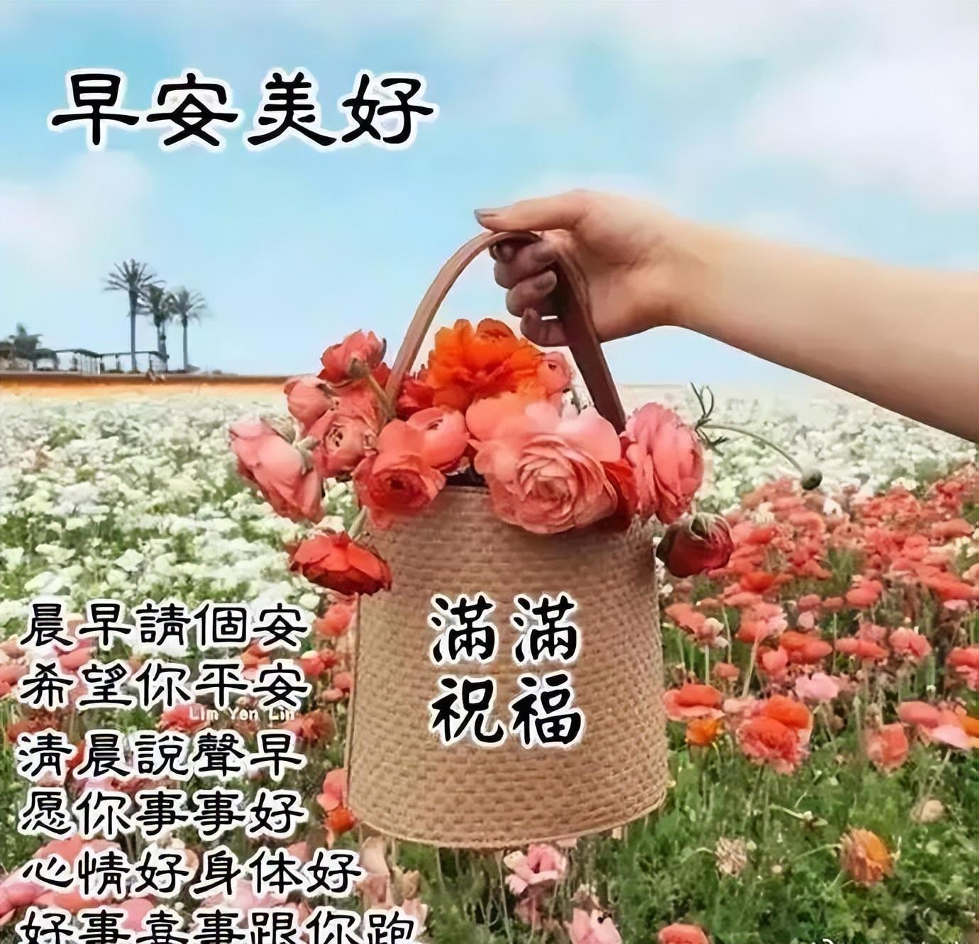 友情瞬间（或温馨友情）