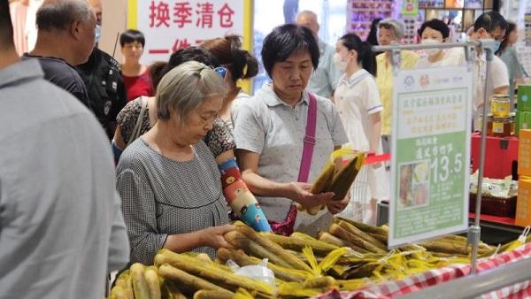 遵义最新消息大全，全面指南与任务完成教程详解
