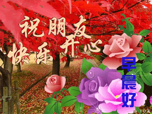 最新小说下载