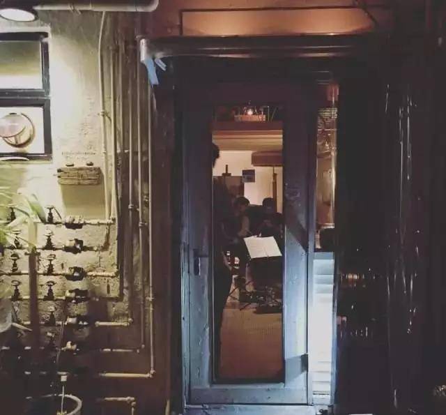 最新物种探秘与小巷深处的独特小店揭秘