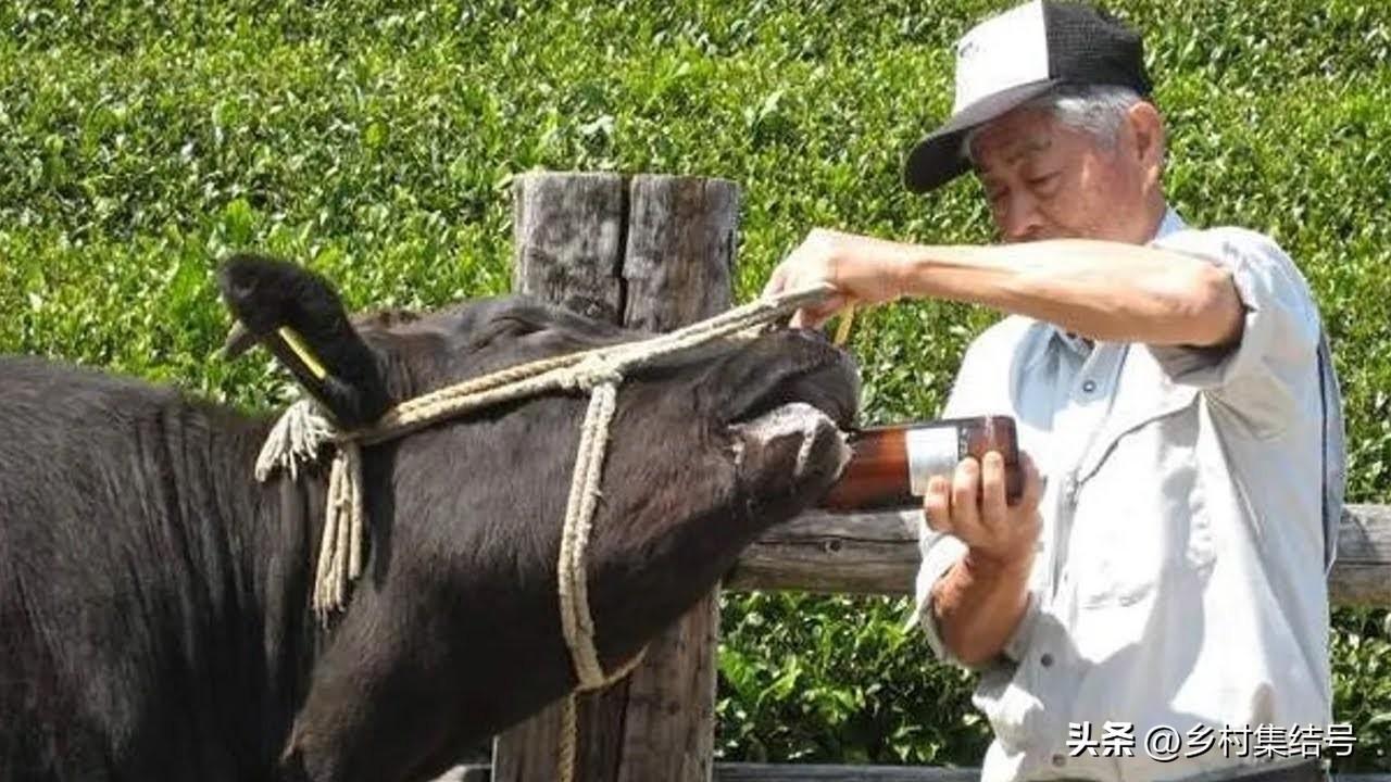 时代魅力探索