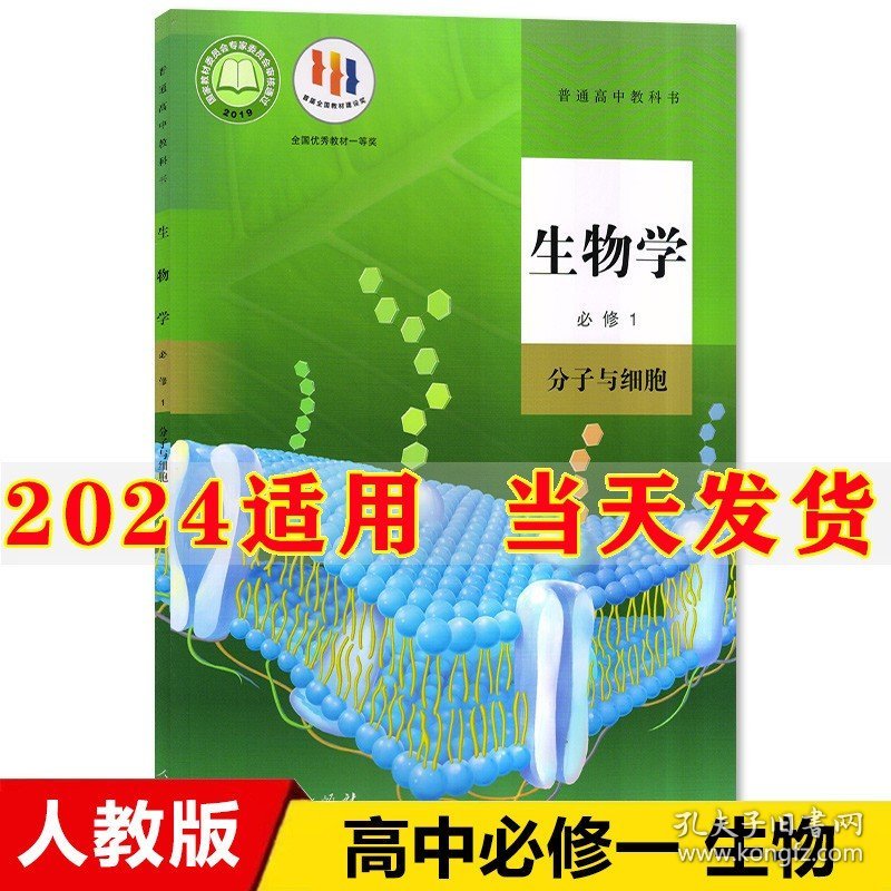 教育创新之路
