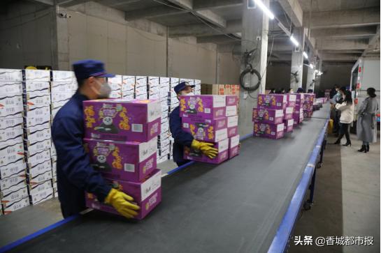 最新动态更新探索
