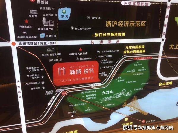 最新动态与分析观点