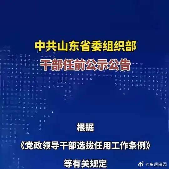 改革进展