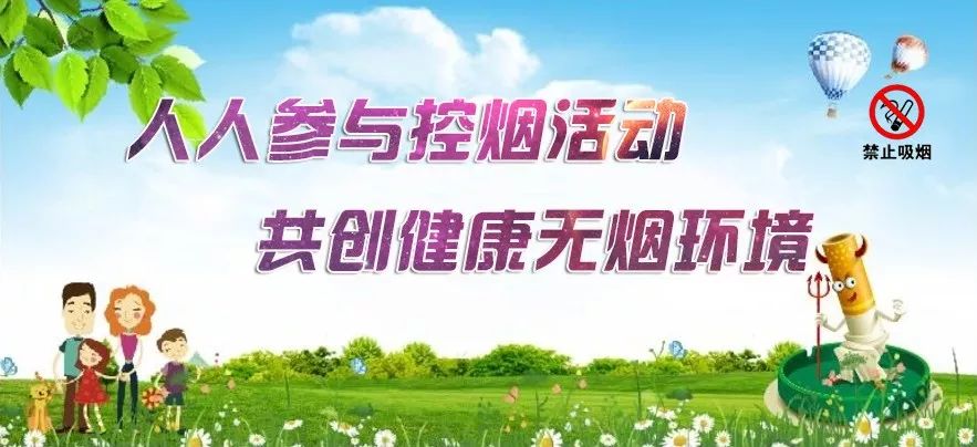 职业探索之旅