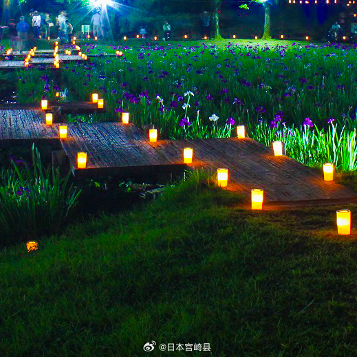 夜夜鲁最新2015