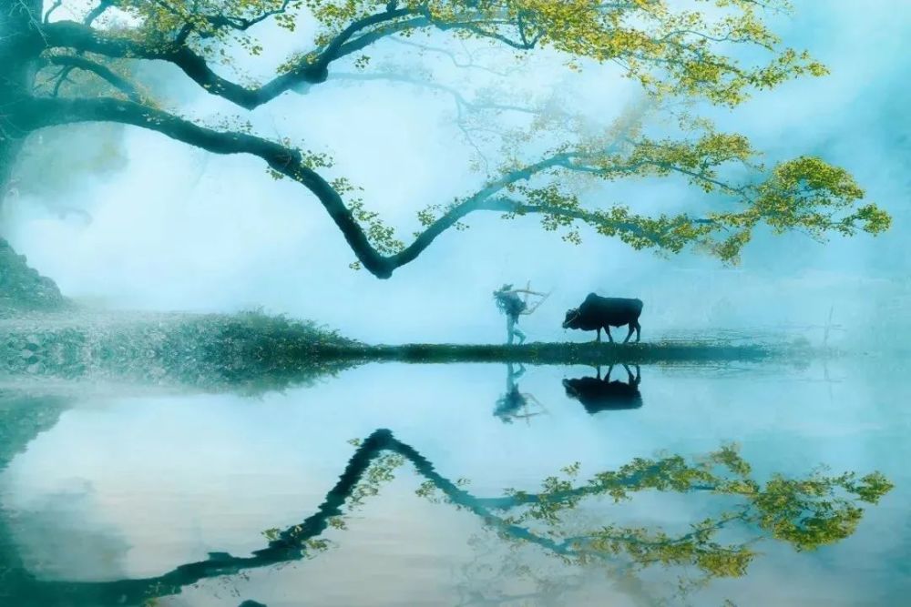 最新手机科技,科技与艺术的融合之旅