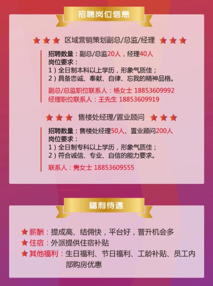 职业发展新天地