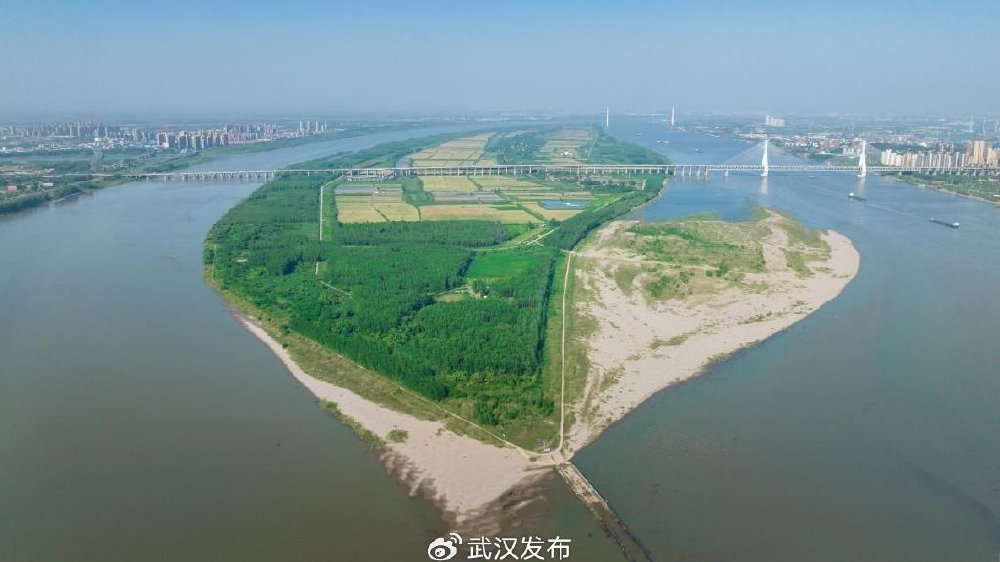 进展与资讯速递