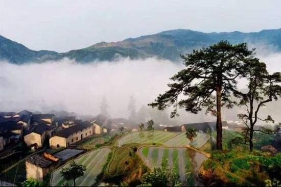 最新词汇2017揭秘巷弄秘境中小店的独特魅力