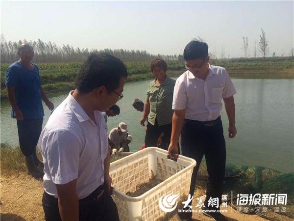 南美虾养殖技术