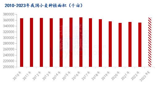 小麦价格最新行情