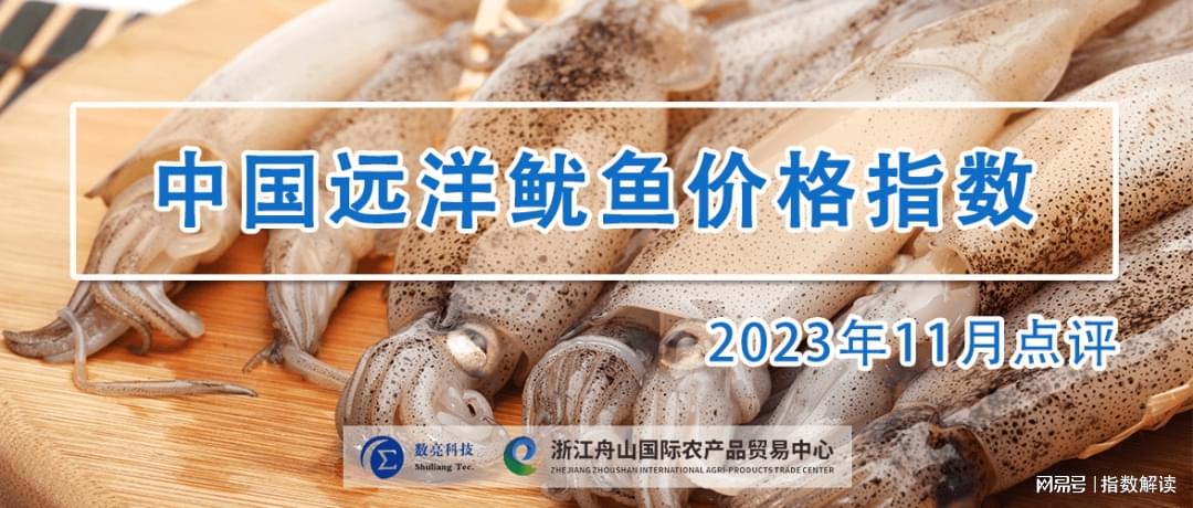 鱿鱼最新价格