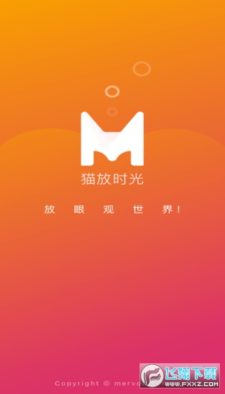 猫咪最新app