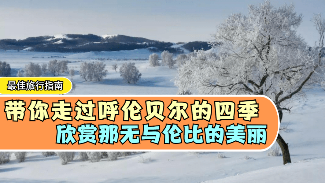 伦理下载