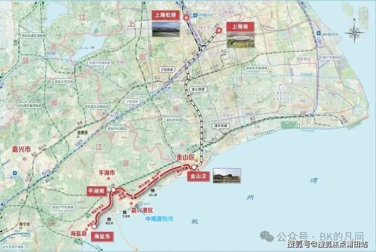 动态与概览