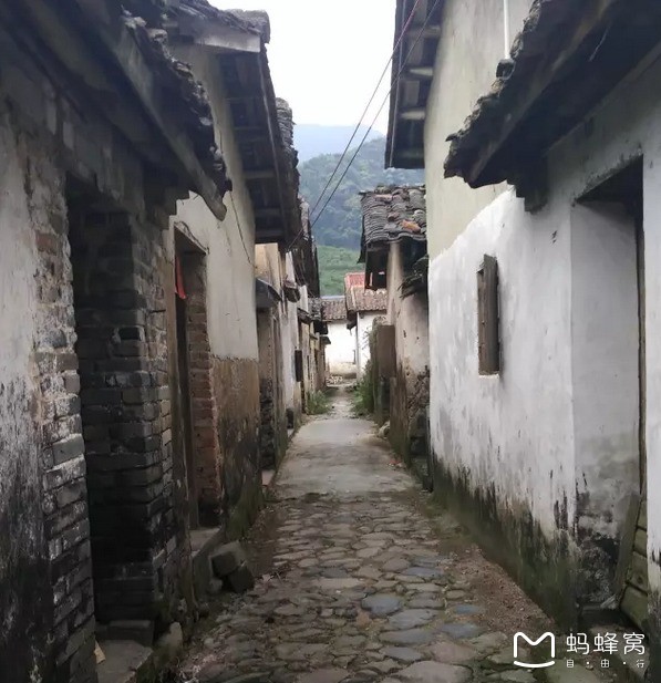 临潼最新项目