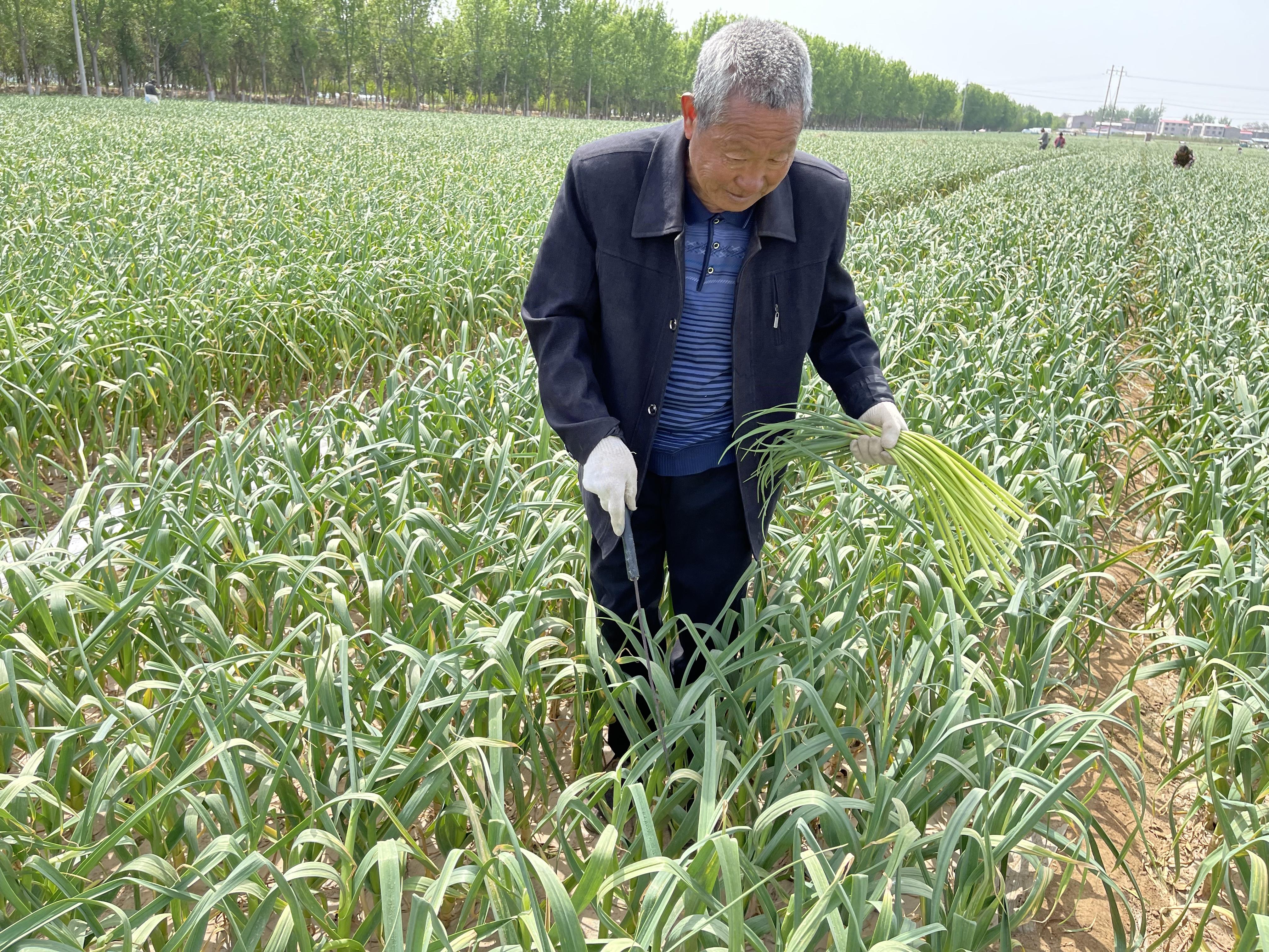市场波动探讨