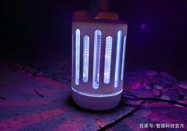 小巷秘密宝藏守护者