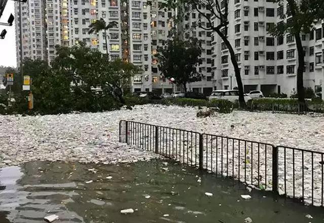 小山竹最新视频