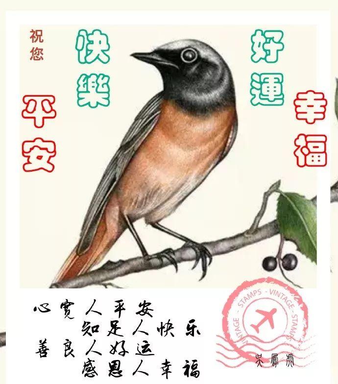 音符中的友情