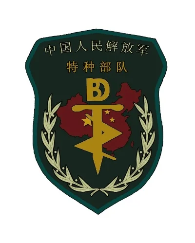 制作与佩戴指南