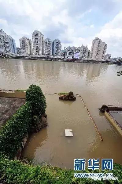 梧州洪水