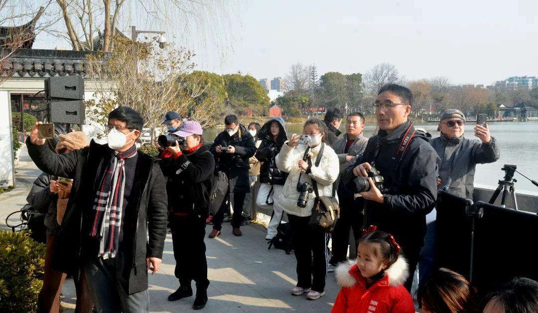 音乐与艺术融合之美