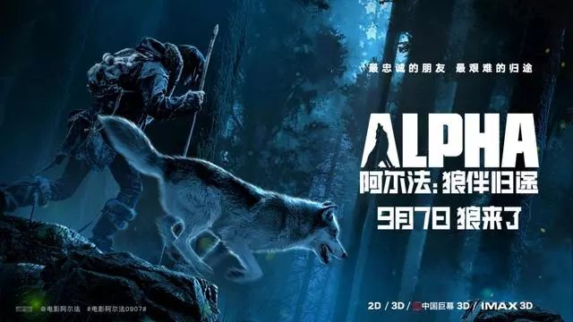 陪伴）