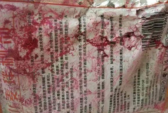 小麦价格最新动态