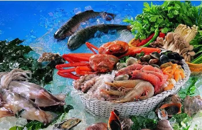 海鲜视频