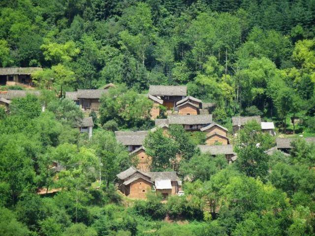 长清新增最新