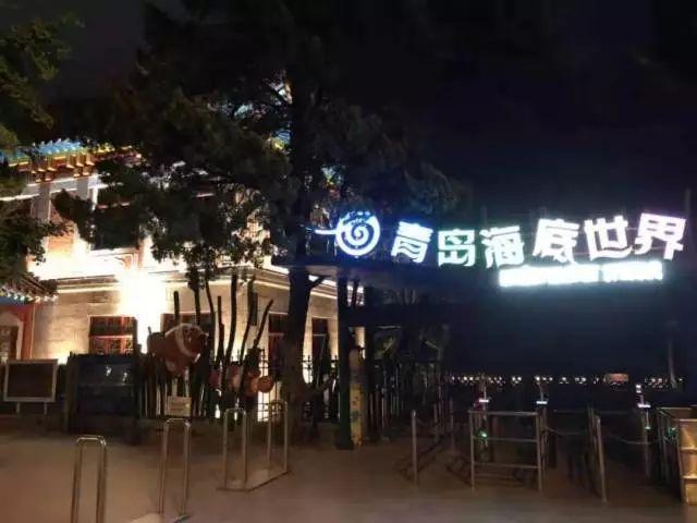 最新侦探片，与自然共舞的心灵探寻之旅