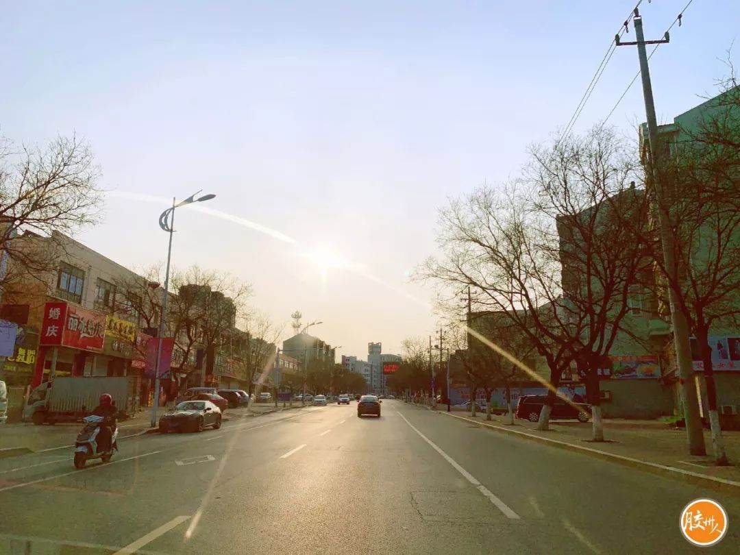 今日疫情最新动态与小巷独特魅力小店的探索之旅