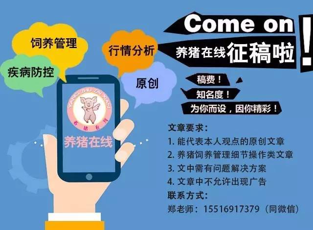 最新污语详解