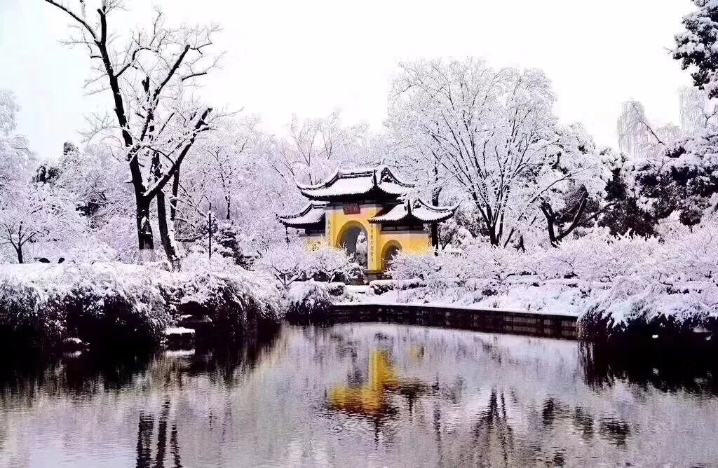 时代与雪的印记