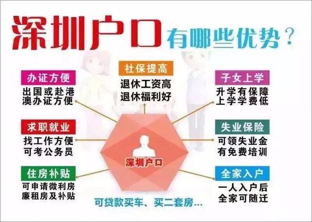 深圳司机招聘信息详解，应聘步骤指南