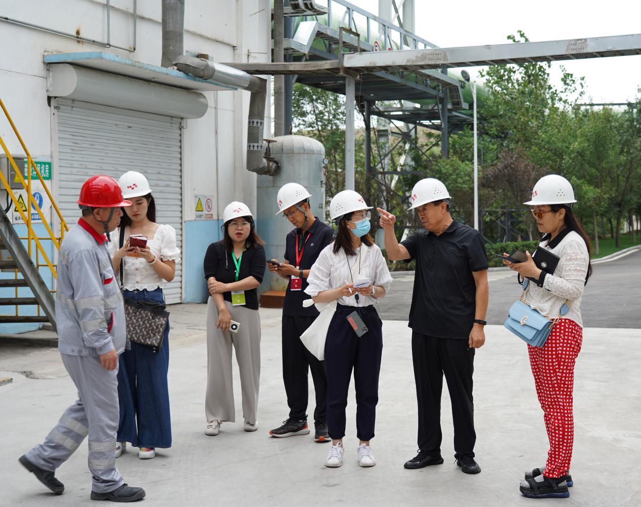 金隅股份新浪股票行情，科技引领股市新纪元，揭秘股市未来走势