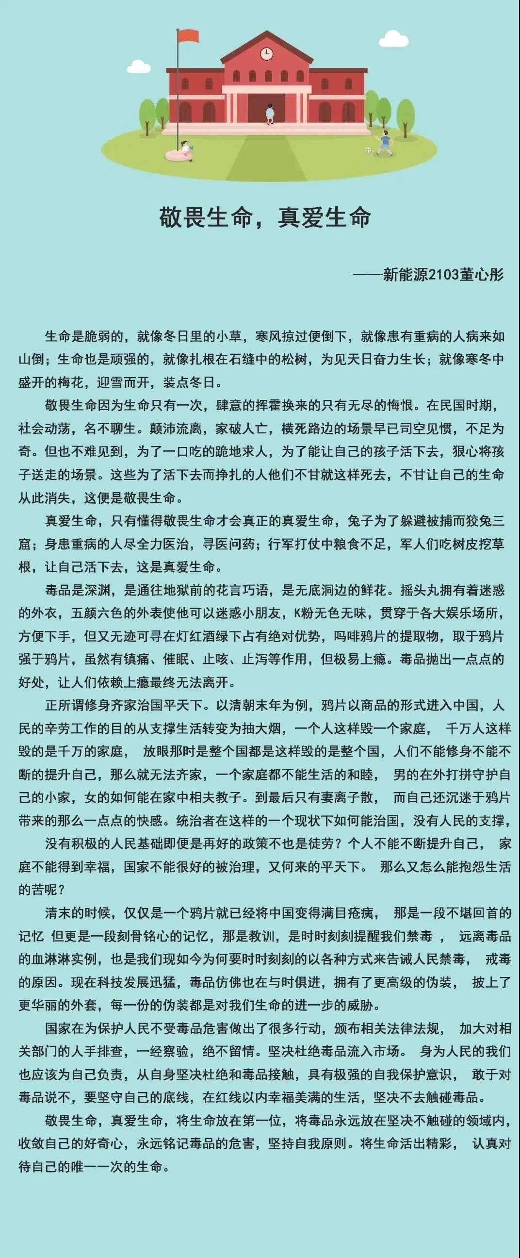 禁毒征文比赛，步骤指南与参赛攻略