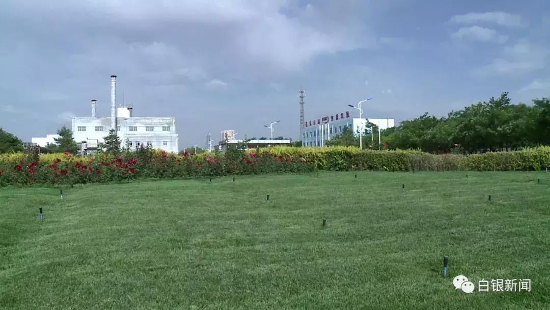 千股千评揭秘