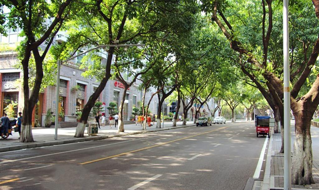 中山市新房价格信息揭秘，巷弄深处的惊喜房源
