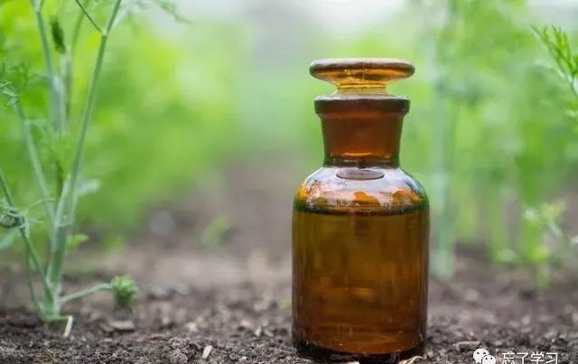 最新杀菌剂概览，自然美景中的健康守护者