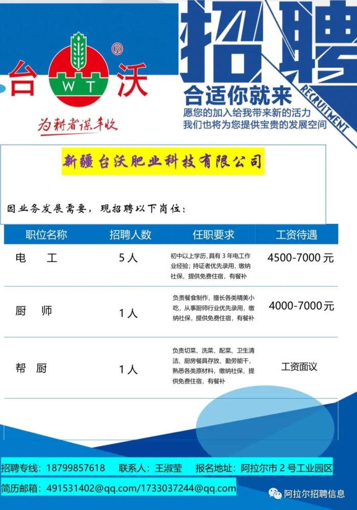 饶阳最新招聘信息全面解析，求职者的观点与洞察