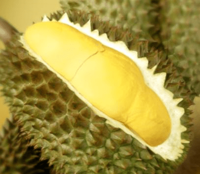 上海禾辉信息 第34页